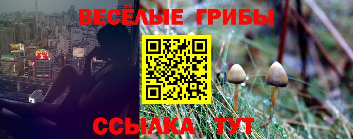 Галлюциногенные грибы MAGIC MUSHROOMS Камышин
